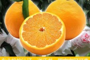 春見耙耙柑還是粑粑柑(耙耙柑和春見耙耙柑的區(qū)別)