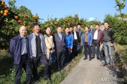 綠色柑橘的種植技術(shù)_秋季不僅是柑橘采果前管理關(guān)鍵期