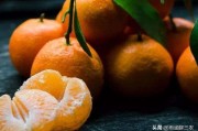 柑橘如何長期保存不爛_柑橘可以放冰箱保存嗎
