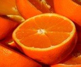 重慶明日見柑橘苗產地最新行情（重慶周邊采摘柑橘）