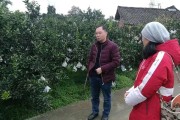 柑橘種植技術百科視頻大全_自媒體真能讓農民致富嗎