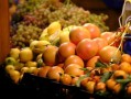 川津1號柑橘苗木種植基地：綠色栽培技術示范引領高產優產新標桿