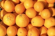 甘平柑橘介紹產地：特色品種與優(yōu)質產區(qū)栽培歷史全解析