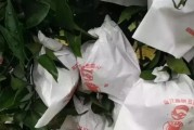 柑橘套袋后病蟲害防治_瓜實蠅該用什么藥防治