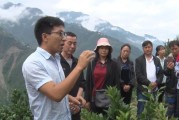 官方柑橘種植技術培訓資料_橘子在北緯32度可以種嗎