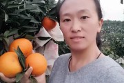 愛媛30號(hào)柑桔市場價(jià)_愛媛58號(hào)柑橘品種介紹