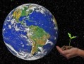 柑橘產生哪個溫帶？解析其氣候適應性及全球分布規律
