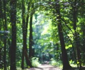 盆柑橘怎樣栽培視頻（盆柑橘怎樣栽培視頻講解）