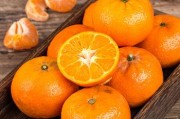 柑橘潛葉甲為害特點及防治方法（柑橘潛葉甲為害特點及防治方法視頻）