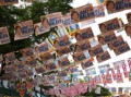 2023年柑橘產地最新消息：主產區產量行情與市場動態解析