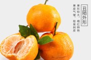 耙耙柑哪些人不宜吃(吃耙耙柑的好處和壞處)