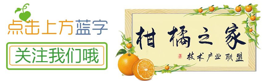 沃柑好還是贛南臍橙好（沃柑橙子哪個營養(yǎng)高）