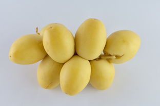 柑橘幼果期不能用藥(柑橘幼果期不能用哪些藥)