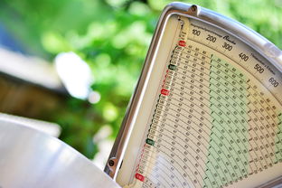 橘子多少錢一斤便宜(市場上橘子多少錢一斤)