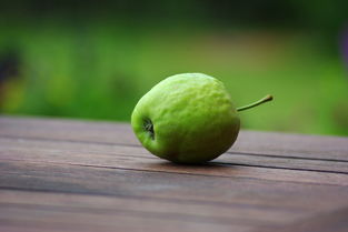 柑橘細菌真菌病害照表(柑橘細菌病害有哪些)