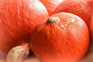 柑橘潰瘍病防控思路(柑橘潰瘍病病征類型)