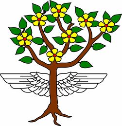 沃柑大樹裸根樹苗怎么栽好活(沃柑樹盆景)