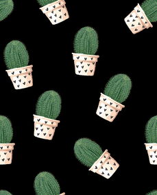 沃柑來自哪個(沃柑是哪個地方產的)