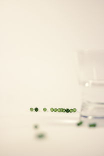 治療柑橘根腐病藥(治療柑橘根腐病藥物)