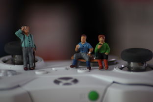 柑橘種子怎么發芽快視頻（柑橘種子育苗方法步驟）