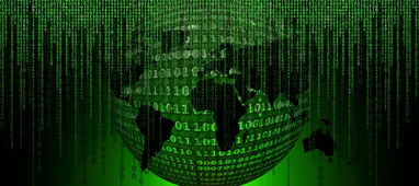 柑橘果園種植管理技術(shù)(柑橘栽培新技術(shù))