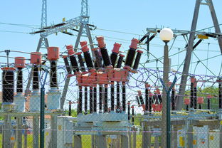 桔子修剪技術(shù)口訣（桔子修剪技術(shù)口訣是什么）