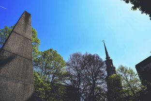 柑橘樹專用農藥潰瘍克潰寶（治柑橘潰瘍病特效藥）