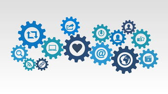 沃柑盆景怎樣種植技術(shù)管理方法(沃柑盆景吧)