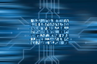 廣西脆蜜金桔種植管理技術視頻(廣西脆蜜金桔種植管理技術視頻教程)