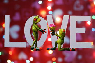 桔子樹喜歡什么肥料呢(桔子樹苗用什么肥料最好)