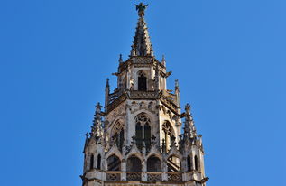 柑橘每年需要多少微量元素(柑橘每年需要多少肥料)