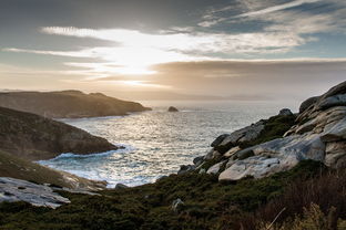 柑橘苗黃化病防治(柑橘黃化病怎么治?用什么藥?)