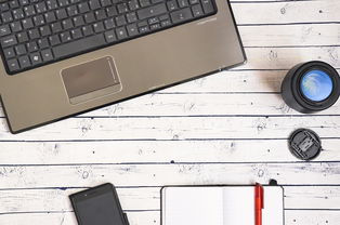 柑橘種子種出苗能結果嗎(柑橘種子播種育苗技術)