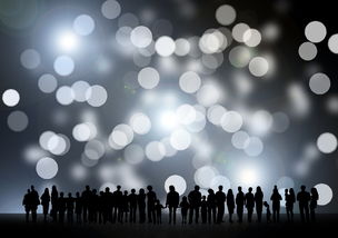 金秋沙糖桔基地在哪里(金秋沙糖桔哪里出產最多)