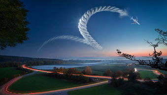 秋季柑橘病蟲害防治技術(給我講一講柑橘病蟲害防治)