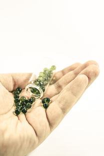 廣西沙糖桔黃龍病黃化病(沙糖桔黃化病圖片)