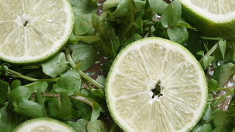 柑橘春季修剪技術(shù)及凍后管理技術(shù)(柑桔冬季修枝什么時(shí)候最好)