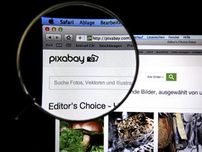 柑橘宣傳視頻文案怎么寫(柑橘推銷產品的廣告詞)