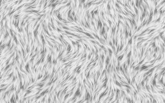 沙皮病柑橘用藥(柑橘沙皮病特效藥)