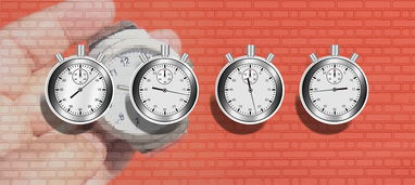 柑橘臍橙全年打藥時間表(臍橙什么時候打藥水)