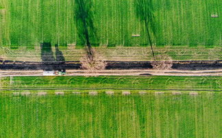 沃柑留樹到6月如何用肥水施肥視頻（沃柑怎樣施肥）