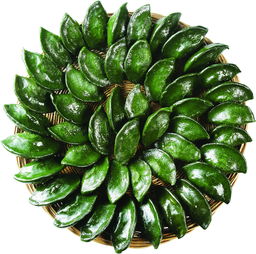 脆蜜金桔全年殺蟲殺病技術（脆蜜金桔的缺點）