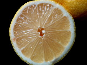 橘子白絲什么中藥名（橘子白絲的功效與作用）