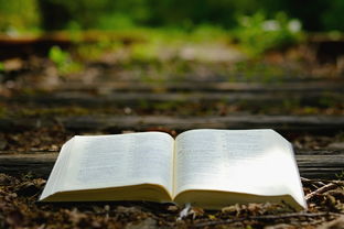 沃柑算廣西特產嗎為什么（沃柑廣西的好吃還是四川的好吃）