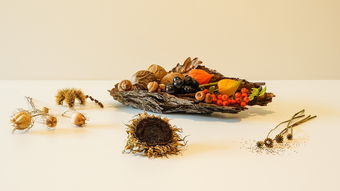 2025年柑橘行情分析:全球供需格局、價格走勢與產(chǎn)業(yè)鏈機遇深度展望