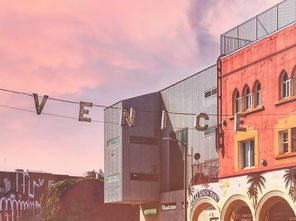 桔子樹技術培訓中心(桔子樹培訓學校)