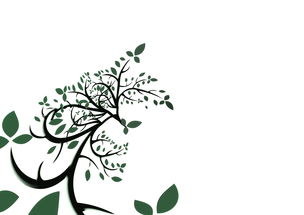 柑橘樹葉發(fā)黃有斑點什么病蟲害(柑橘樹葉片黃化怎么辦)