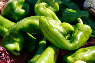 柑橘冬季清園技術要點有哪些(冬季柑橘園施肥方法及要點)