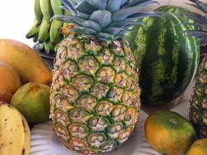 韓國一年四季產(chǎn)橘子嗎(韓國一年四季氣候)