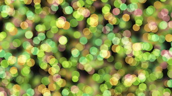 金脆柑橘樹苗適合南方嗎？南方種植條件與地域適應性深度解析